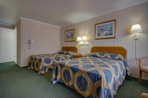 Sahara Motel - image 13