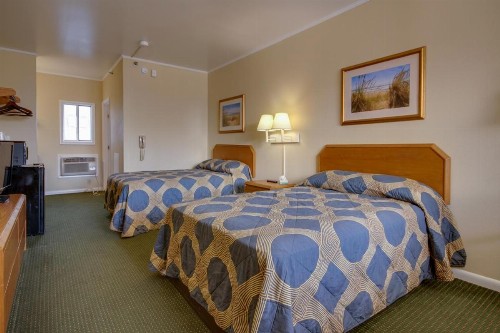 Sahara Motel - image 22