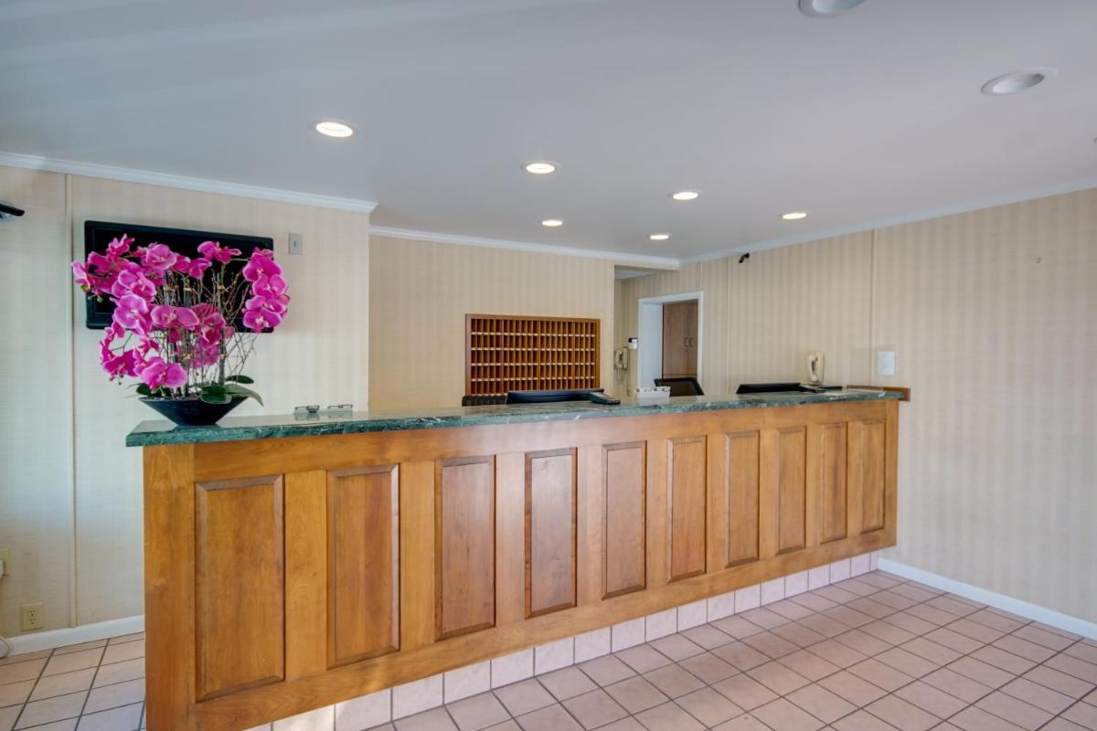 Sahara Motel - image 7