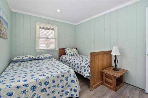 Blue Turtle #1 - image 9
