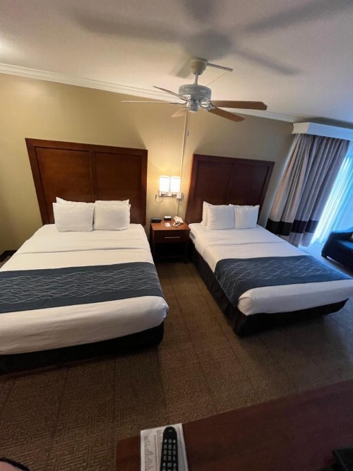 Comfort Inn & Suites Ocean Shores - image 11