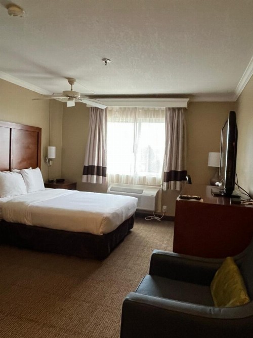 Comfort Inn & Suites Ocean Shores - image 23