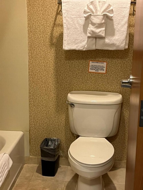 Comfort Inn & Suites Ocean Shores - image 3