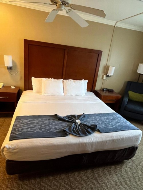 Comfort Inn & Suites Ocean Shores - image 30