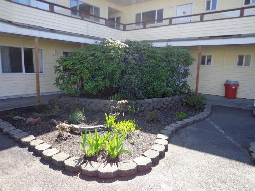 Ocean Shores Inn & Suites - image 24