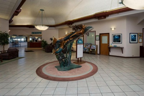 Shilo Inn Suites Ocean Shores - image 8