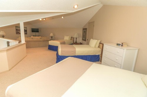 Grey Gull - image 11