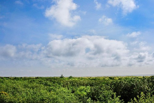 On Beyond Condo - image 15
