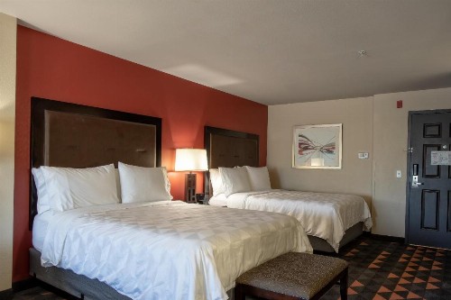 Holiday Inn Oceanside Marina Camp Pendleton an IHG Hotel - image 3