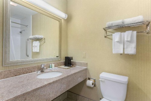 Quality Inn & Suites Oceanside Near Camp Pendleton - image 16