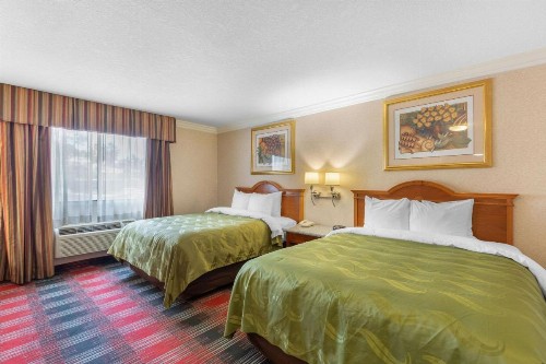 Quality Inn & Suites Oceanside Near Camp Pendleton - image 17