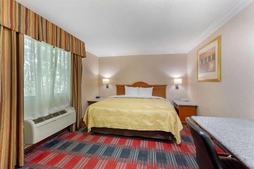 Quality Inn & Suites Oceanside Near Camp Pendleton - image 18