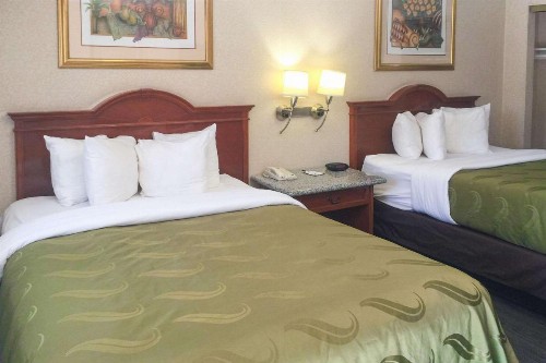 Quality Inn & Suites Oceanside Near Camp Pendleton - image 40