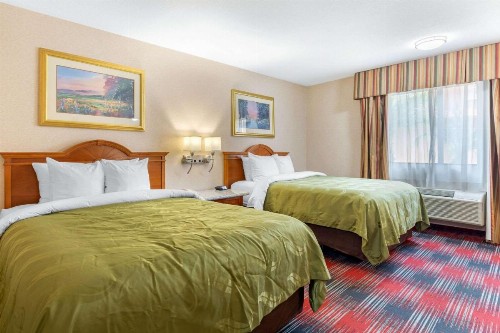 Quality Inn & Suites Oceanside Near Camp Pendleton - image 6