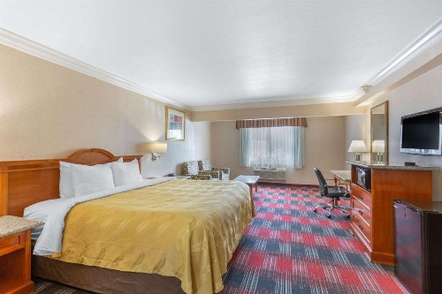 Quality Inn & Suites Oceanside Near Camp Pendleton - image 9
