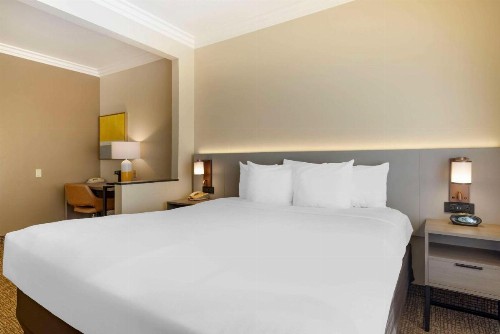 Comfort Suites Oceanside Camp Pendleton Area - image 31