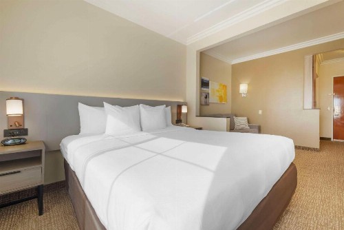 Comfort Suites Oceanside Camp Pendleton Area - image 42