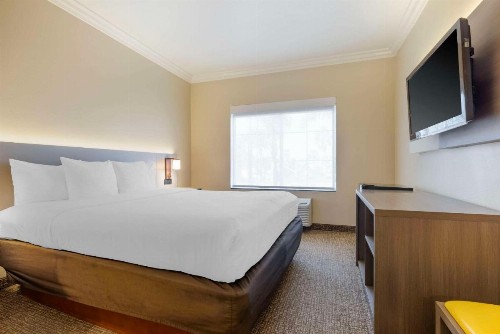 Comfort Suites Oceanside Camp Pendleton Area - image 47