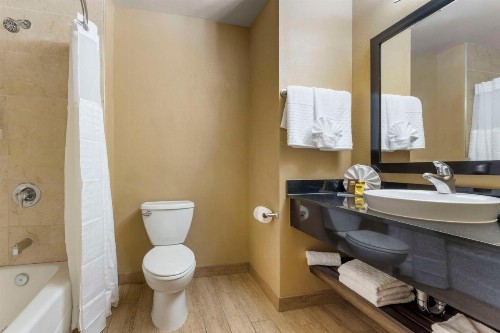 Best Western Plus Oceanside Palms - image 15