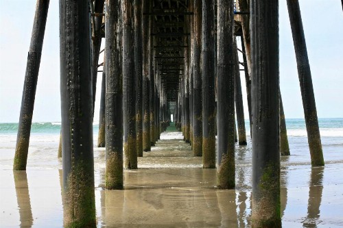 D18 - Bradley Beachfront - image 44