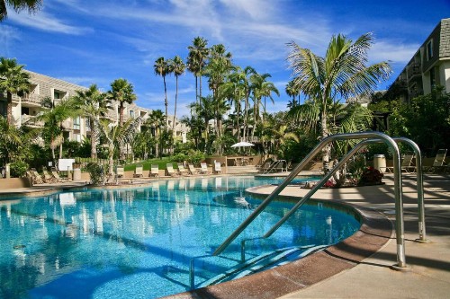 D20 - Beachfront Delight - image 7