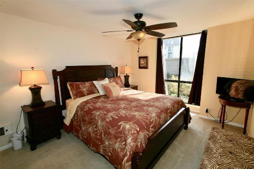 D2 - Breakwater Bungalow - image 25