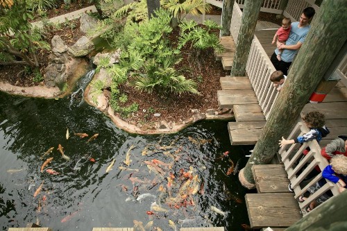 D26 - Seaside Cottage - image 10