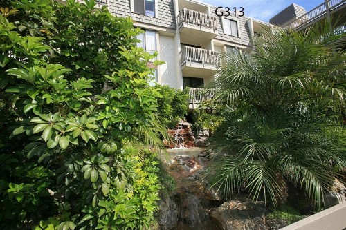 G313 - Panoramic Perfection - image 50