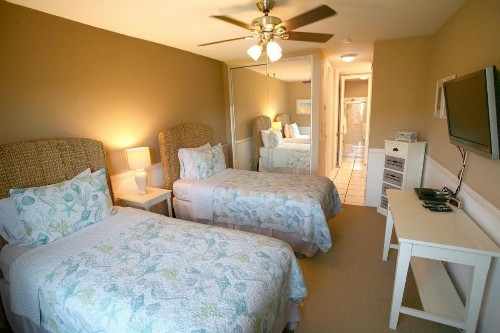 C303 - Pacific Dream - image 25