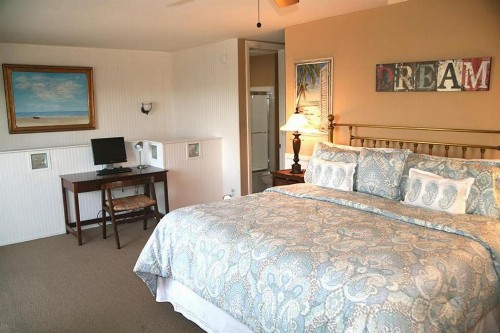 C303 - Pacific Dream - image 9