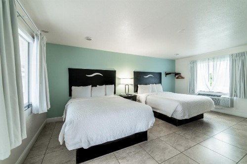 Everglades City Motel - Everglades Adventures Inn - image 31