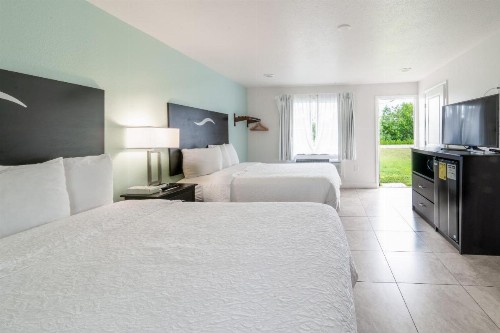 Everglades City Motel - Everglades Adventures Inn - image 36