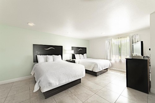 Everglades City Motel - Everglades Adventures Inn - image 4