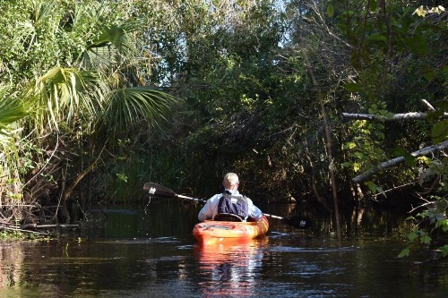 Ivey House Everglades Adventures Hotel - image 25