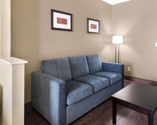 Comfort Suites Odessa - image 10