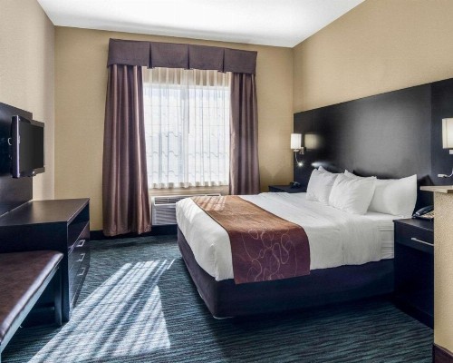 Comfort Suites Odessa - image 15