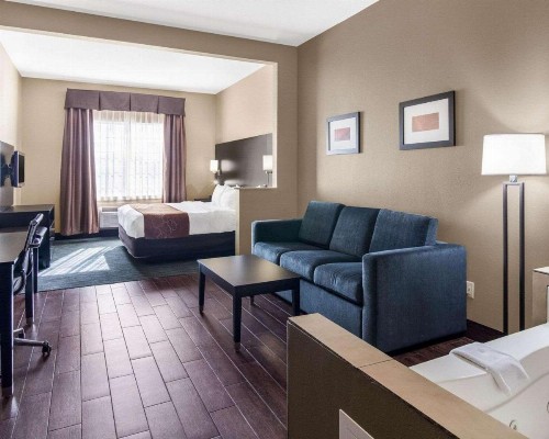 Comfort Suites Odessa - image 18