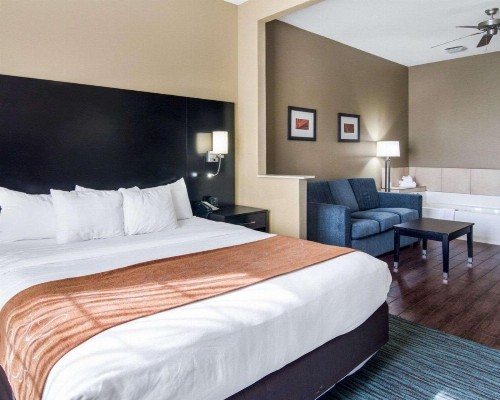 Comfort Suites Odessa - image 21