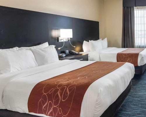 Comfort Suites Odessa - image 22