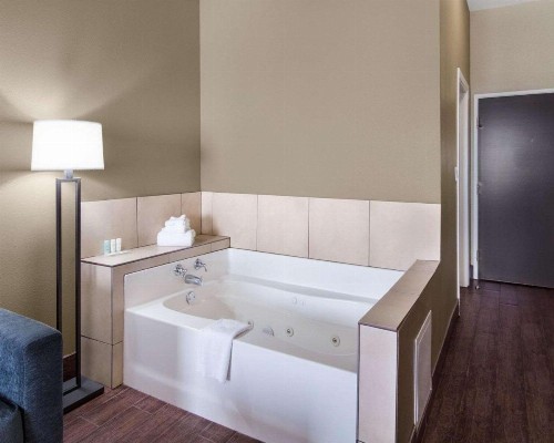 Comfort Suites Odessa - image 26
