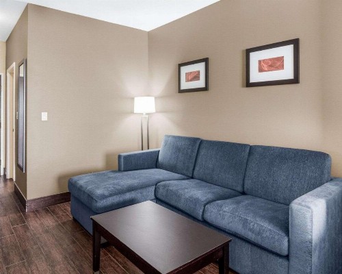 Comfort Suites Odessa - image 30