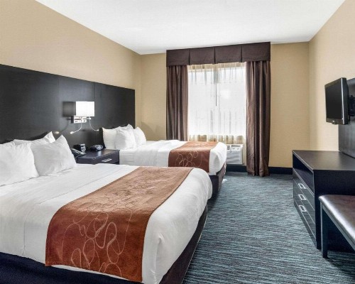 Comfort Suites Odessa - image 32