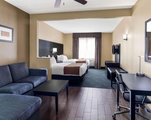 Comfort Suites Odessa - image 34