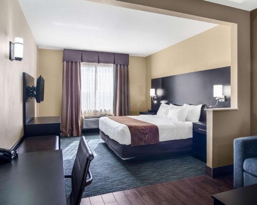 Comfort Suites Odessa - image 6
