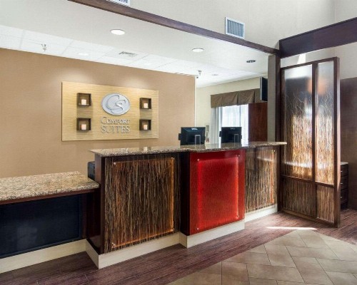 Comfort Suites Odessa - image 9