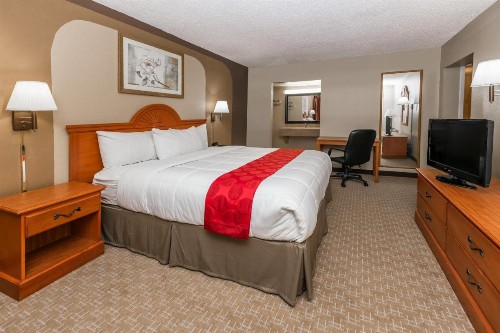 Ramada by Wyndham Odessa Near University of Texas Permian - image 34