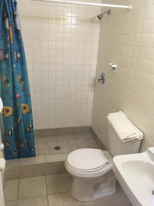 Blue Star Inn - image 26