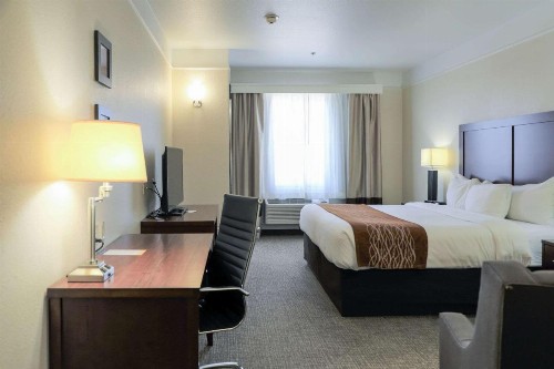 Comfort Inn and Suites Odessa - image 11
