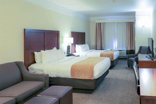 Comfort Inn and Suites Odessa - image 23