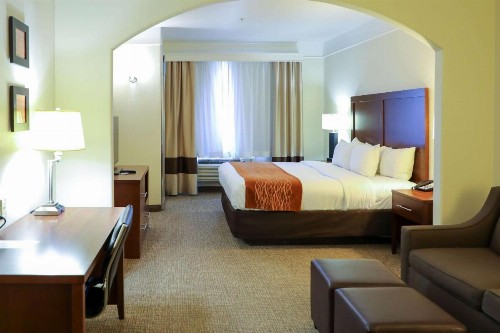 Comfort Inn and Suites Odessa - image 28